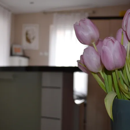 Erlen Hotel 3*